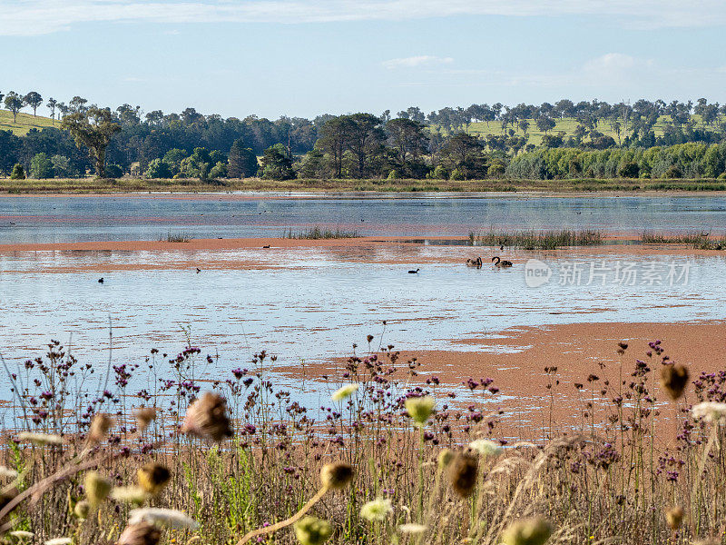 Dangar的泻湖景观- Uralla，新南威尔士州